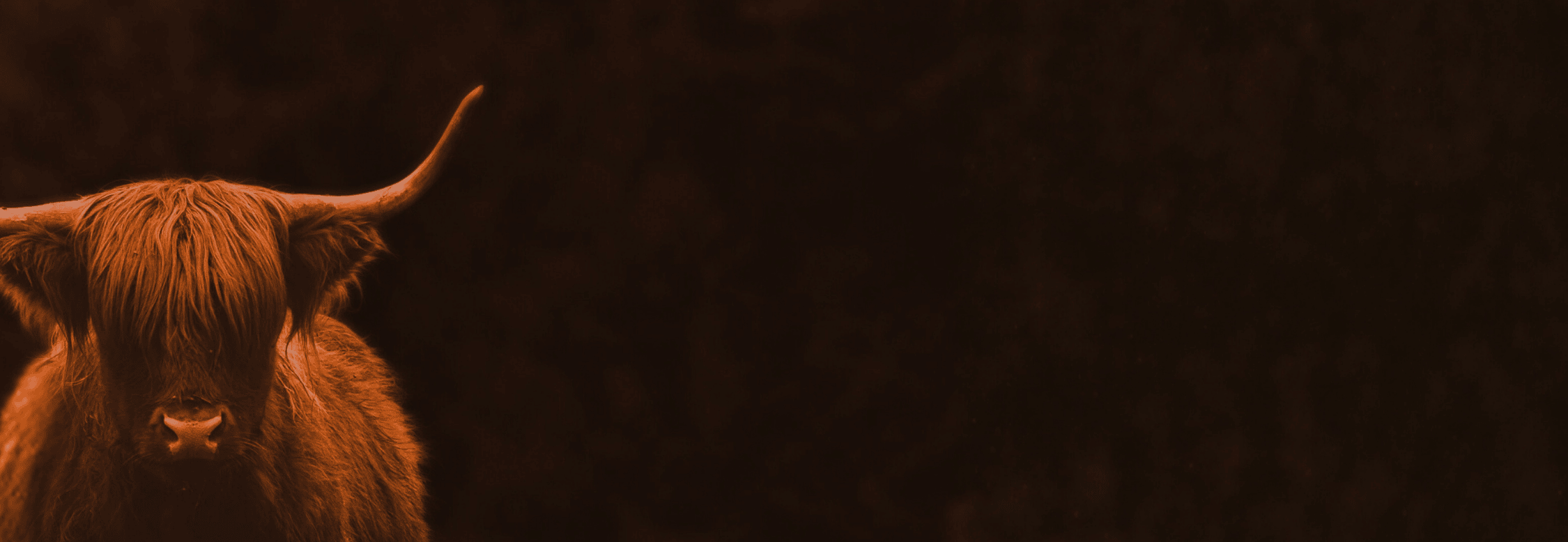 yak+background